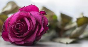 Женские воспалительные болезни: как узнать и когда идти к гинекологу