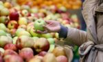 Мифы о генетически модифицированных (ГМ) продуктах