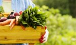Где найти экологически чистые продукты