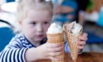 Молочные десерты: состав любимых лакомств