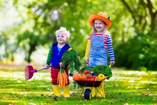 Что делать, если у ребенка ослаблен иммунитет?