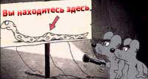 Вид сзади или чудо колоноскопии
