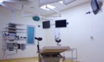 Экологическая безопасность желудка